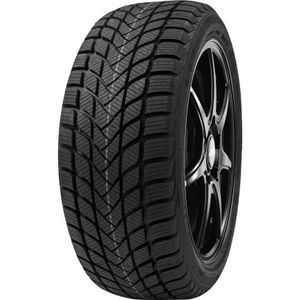 Pneu 205/50 R17 93H Delinte WINTER WD6 XL M+S 3PMSF