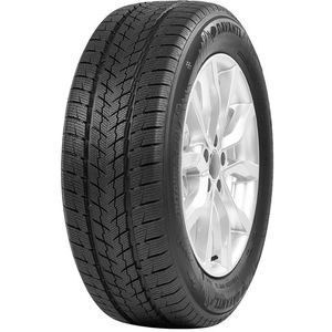 Pneu 235/55 R19 105V Davanti WINTOURA SUV XL BSW M+S 3PMSF