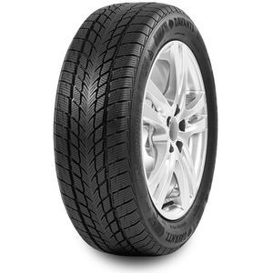Pneu 165/60 R14 79H Davanti WINTOURA XL M+S 3PMSF