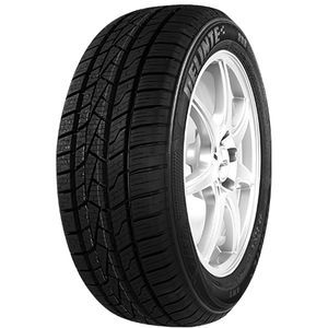 Pneu 165/70 R13 79T Delinte AW5