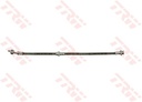 TECDOC|d51f28a0d0bf7a5e|0161phd481.JPG