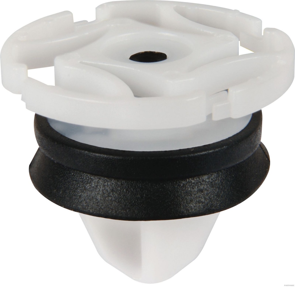 TECDOC|c4c73eca6fd3910f|50267257.JPG