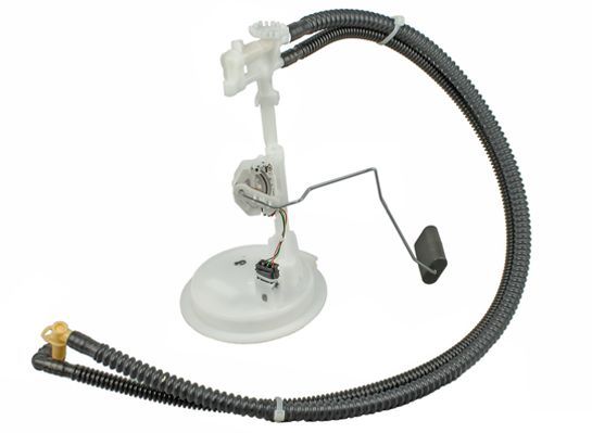 TECDOC|f95cd072ec7e80df|2250260.JPG