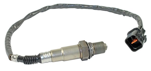 TECDOC|d8a2d8e4d3e461ca|0893553.JPG