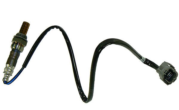 TECDOC|cf8eadd86807be4e|0893104.JPG