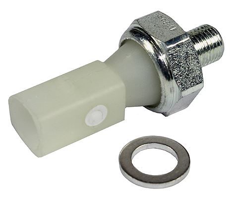 TECDOC|65ca98a5b5c451f1|0910052.JPG