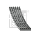 TECDOC|bb731a712fa4e8e3|28975_1.JPG