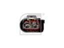TECDOC|941eadcd6e3a124d|40636_3.JPG