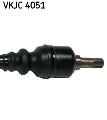 TECDOC|483b29eb73467c1f|VKJC_4051_3.JPG