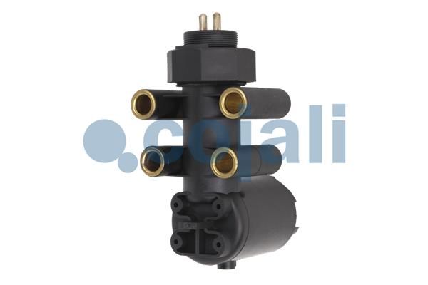 TECDOC|0762c0b8f8a5d737|2209101.JPG